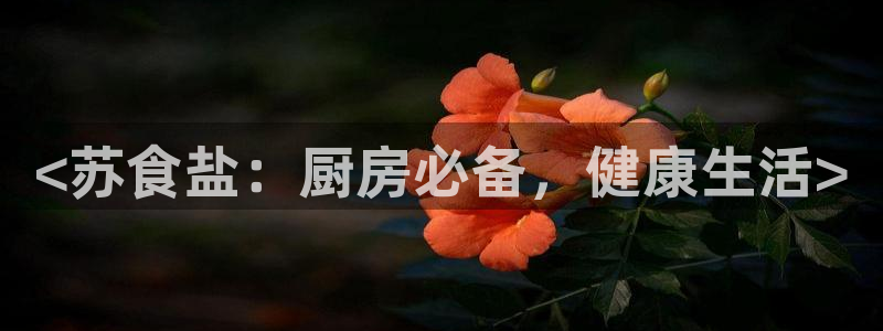 威九国际清砖码