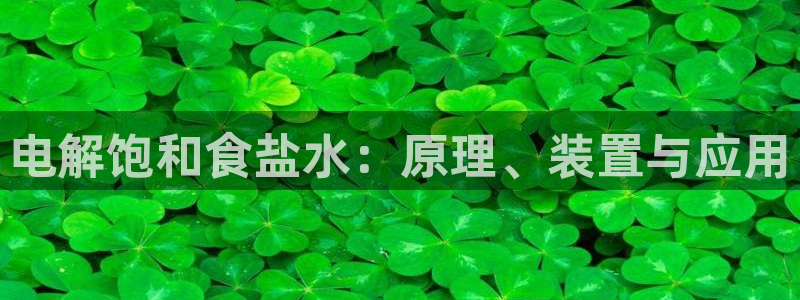 威九国际网站客服电话多少啊