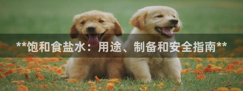 威九国际客服电话号码查询