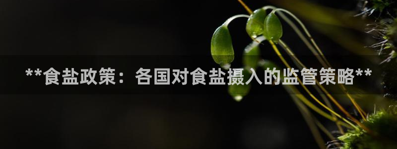 威九国际可以提现吗现在