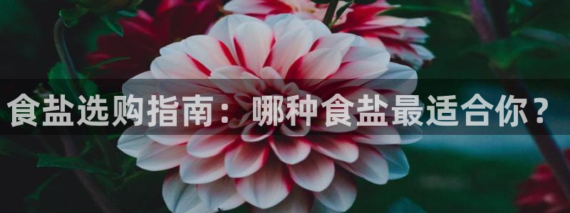 威九国际网站入囗