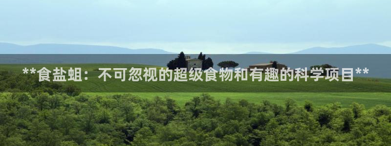 威九国际可以提现吗安全吗