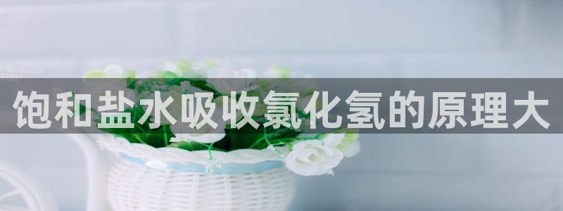 威九国际官网登录入口网址