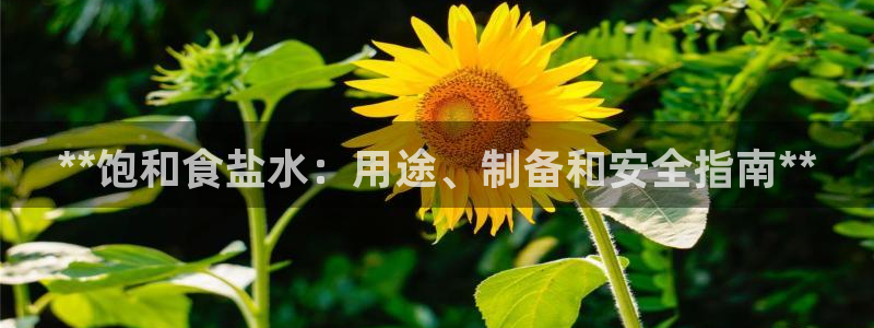 威九国际fX8x