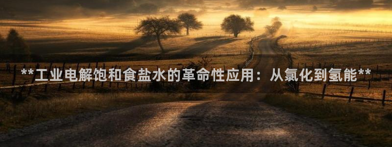 威九国际女明星