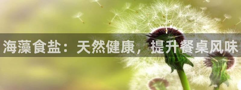 威九国际ppt免费吗