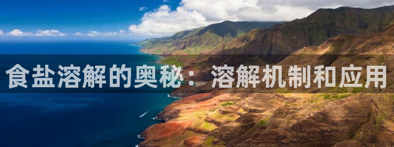 威九国际旗下艺人有谁