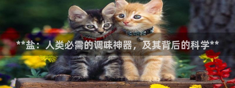 威九国际网站登录