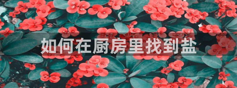 威九国际78mb官网版