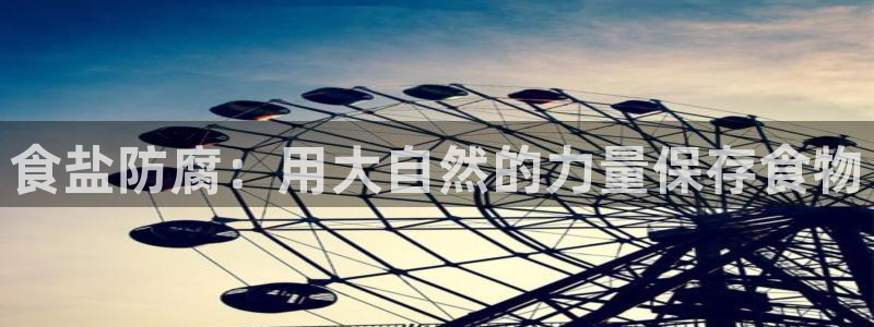 威九国际ppt免费