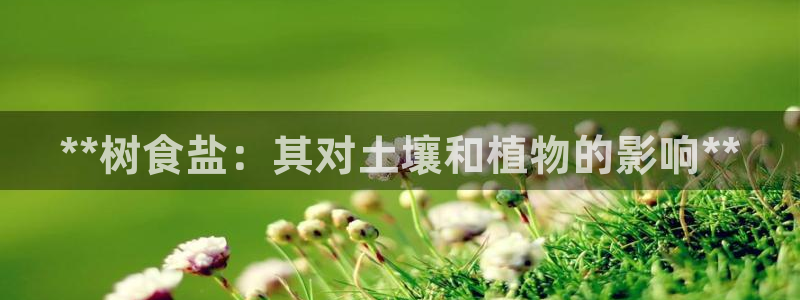 威九国际官网登录入口网址