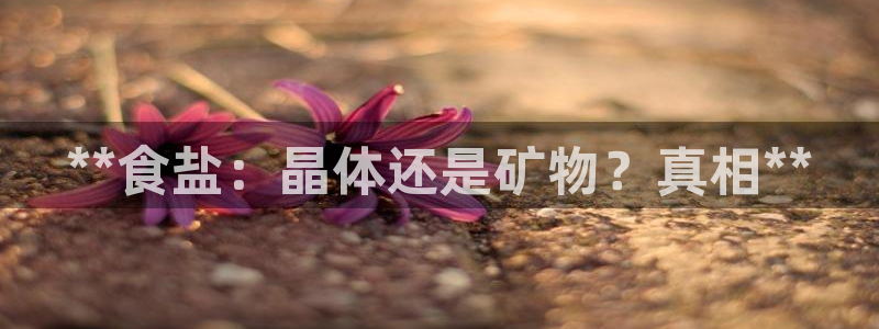 威九国际女主角