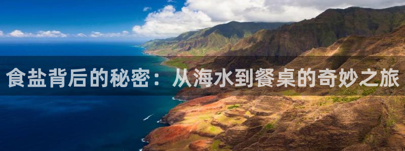 威九国际合作伙伴有哪些