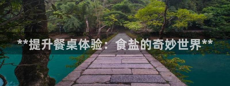 威九国际电子游戏