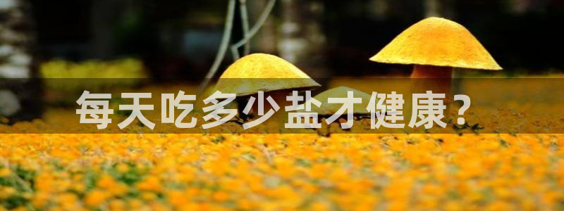 威九国际精甜心诗词网彩片甜心网甜心诗词网
