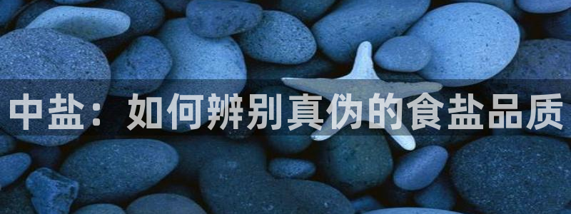 威九国际app客服电话