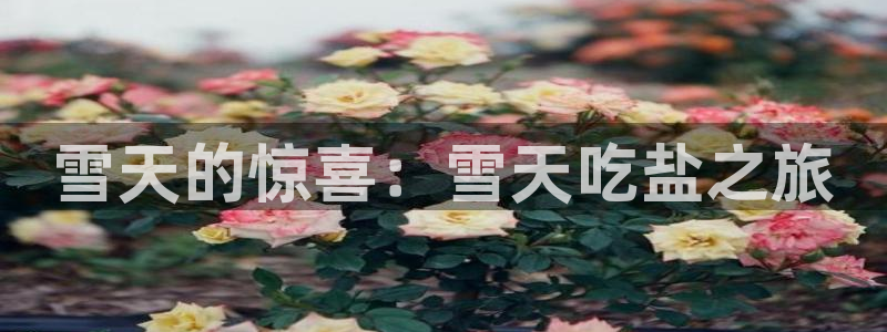 威九国际APP客服