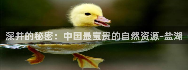威九国际狂飚电影