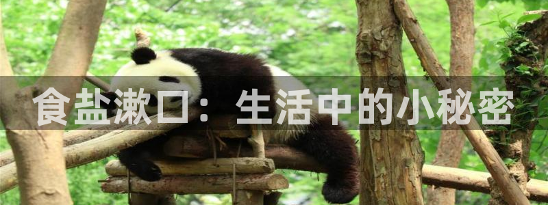 威九国际可以退钱吗怎么退