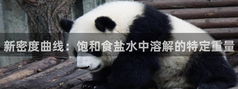 威九国际app网站官网
