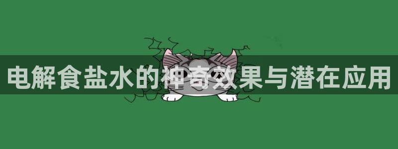 威九国际78mB