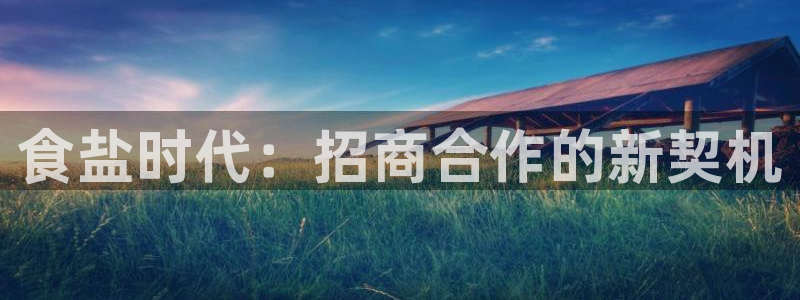 威九国际的网站入口在哪里：食盐时代：招商合作的新契机