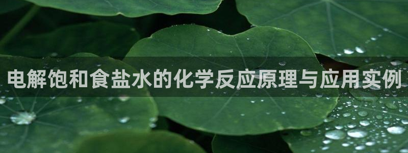 威九国际网站客服电话多少号码