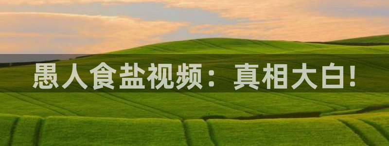威九国际精彩推荐怎么样