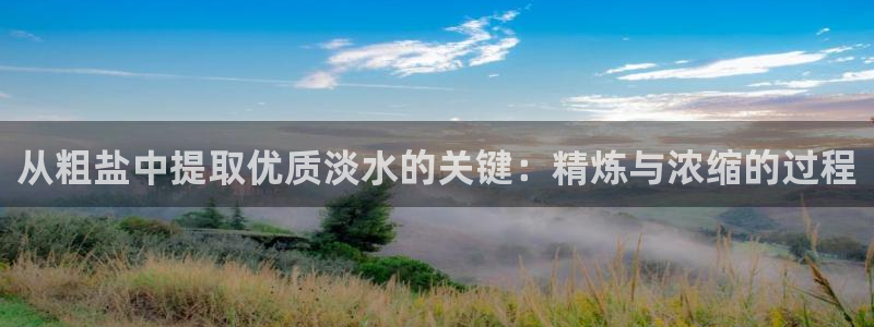 保定威九网络科技有限公司怎么样