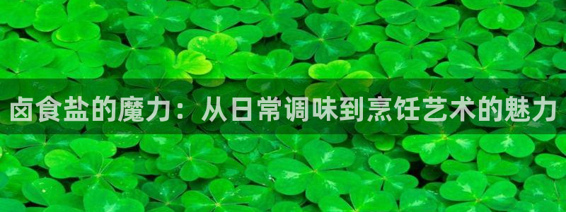 威九国际ft：卤食盐的魔力：从日常调味到烹饪艺术的魅力