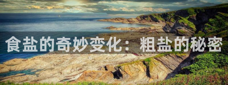 78mapp威九国际网页版