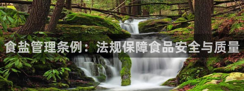 威九国际空降服务女演员叫什么名字