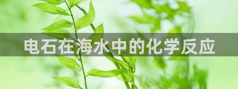 威九国际女孩