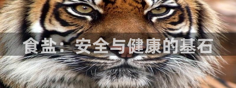 威九国际合作伙伴有哪些