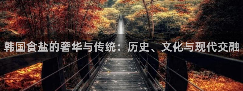 保定威九网络科技有限公司招聘