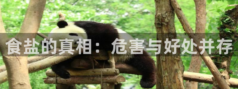 威九国际网站经常打不开网页