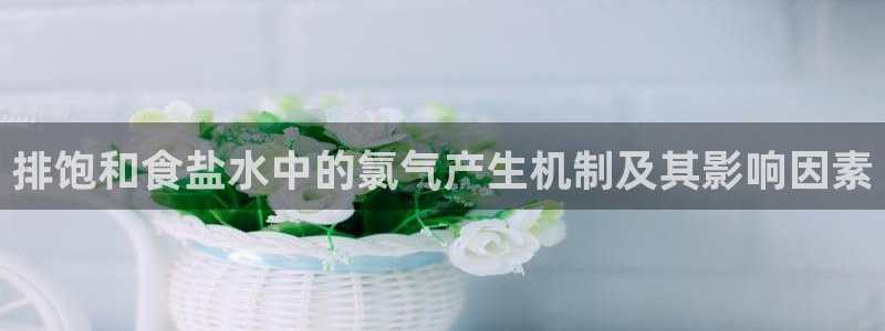 威九国际EVA