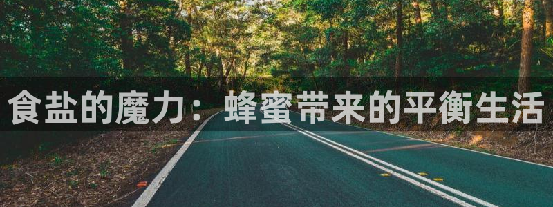 威九国际官网登录入口网站