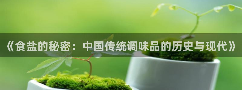 威九国际ppt免费吗