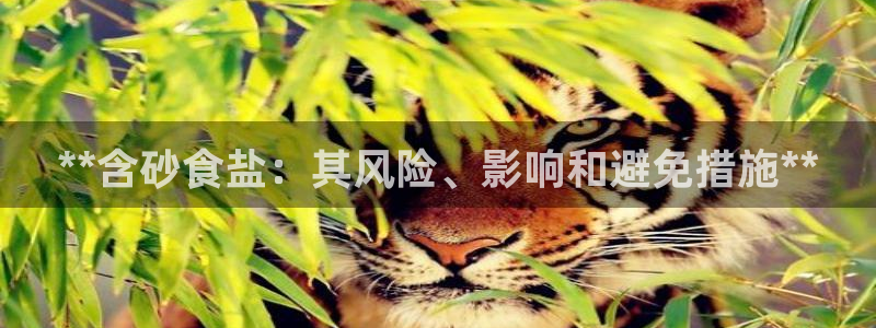 威九国际网站入口官网首页登录