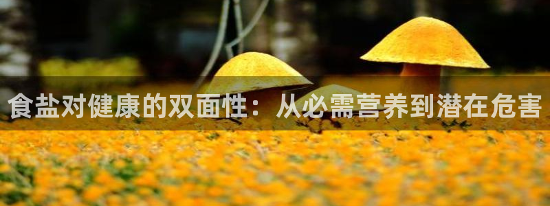 威九国际app客服电话号码