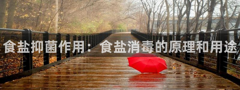 威九国际ppt免费下载