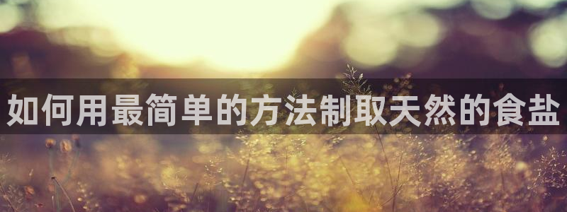 威九国际官网在线进入网站查询网址