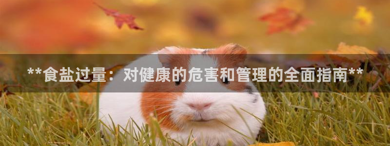 威九国际app网站官网