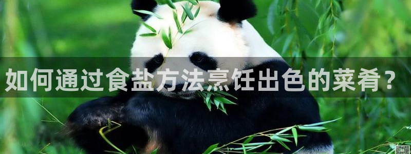 威九国际网站入口地址