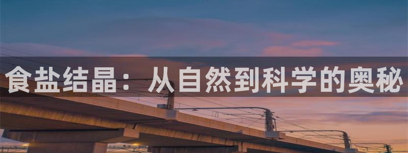 威九国际电子游戏