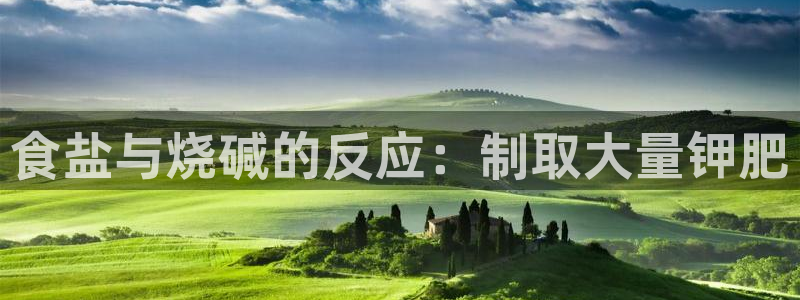 威九国际的金融服务怎么样