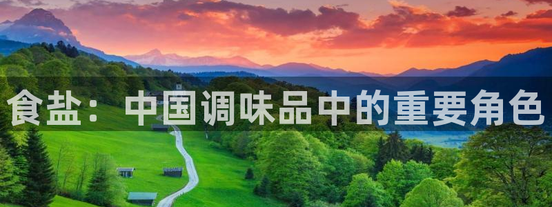 威九国际网站入口官网首页登录