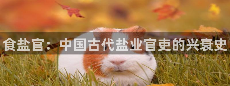 威九国际78m光伏巨头隆基绿能esg成色