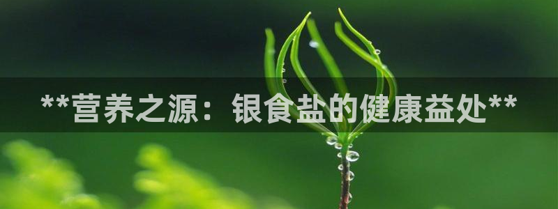 威九国际电子有限公司